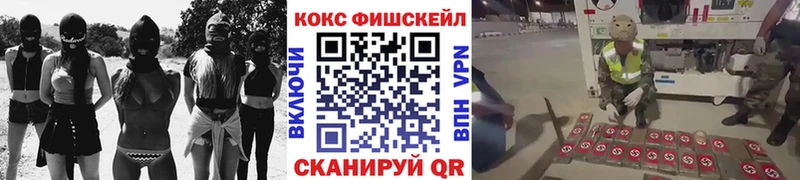 как найти наркотики  Чадан  COCAIN Fish Scale 