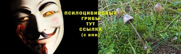 Альфа ПВП Алзамай